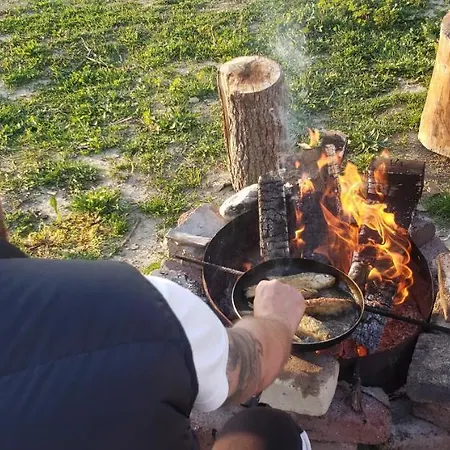 Κάμπινγκ Life On The Farm