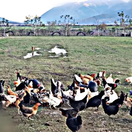 Life On The Farm Κάμπινγκ Nepravishte