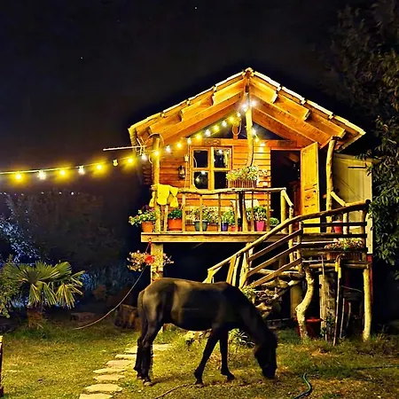 Life On The Farm Campsite