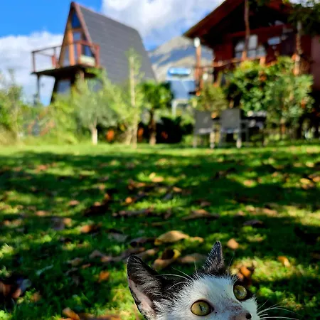 Life On The Farm * Nepravishte