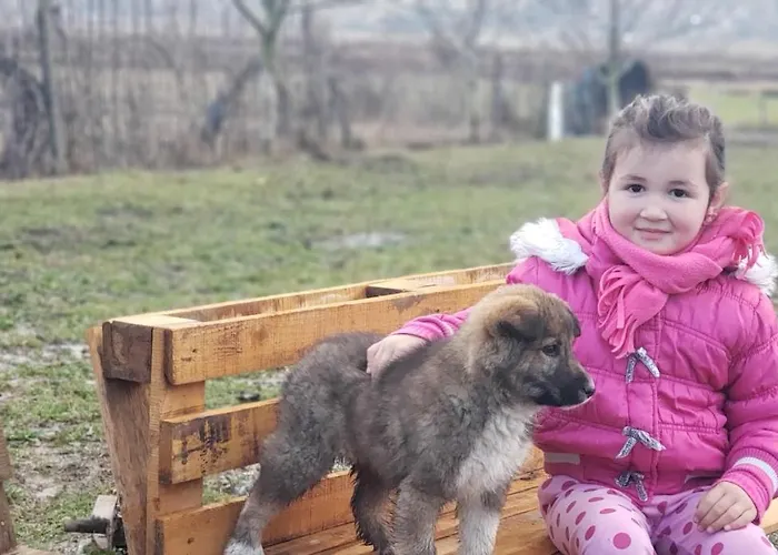 Life On The Farm Nepravishte