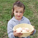 Life On The Farm