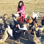 Life On The Farm 营地 Nepravishte