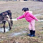 Life On The Farm *