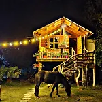 Life On The Farm Camping