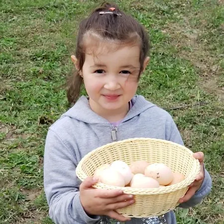 Life On The Farm