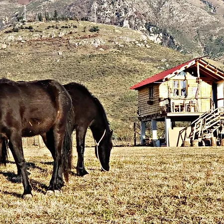 مكان تخييم Life On The Farm *
