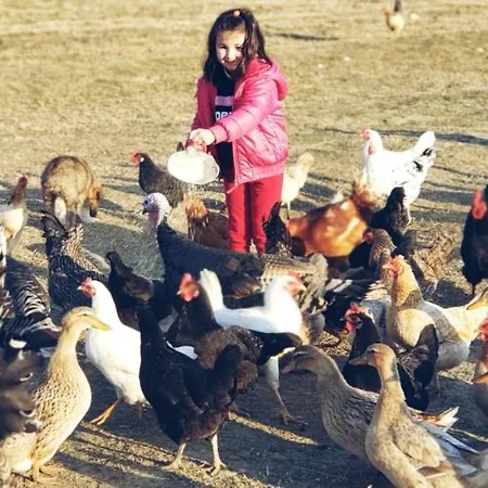 Life On The Farm مكان تخييم Nepravishte