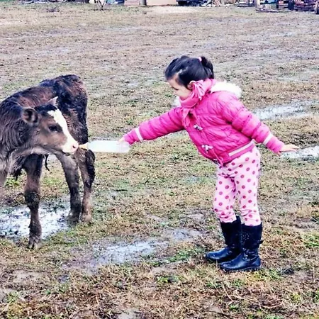 Life On The Farm *