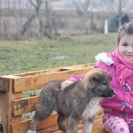 Life On The Farm Nepravishte