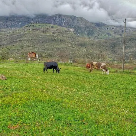 Life On The Farm Campsite *