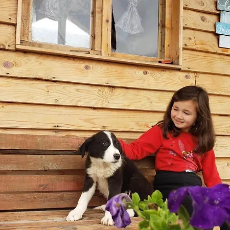 Life On The Farm *