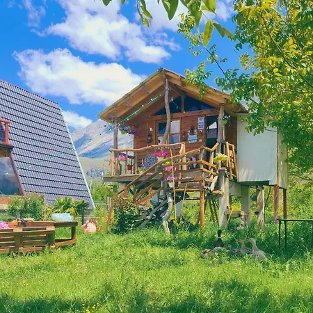 Campsite Life On The Farm *