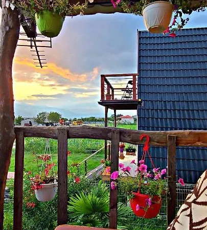 مكان تخييم Life On The Farm Nepravishte