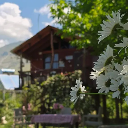 Life On The Farm مكان تخييم