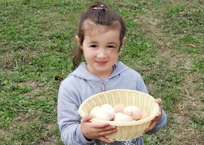 Life On The Farm