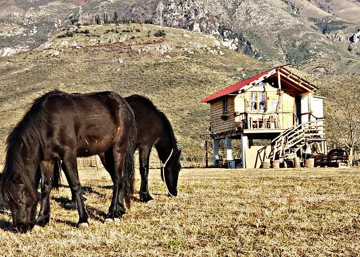 Campeggio Life On The Farm *