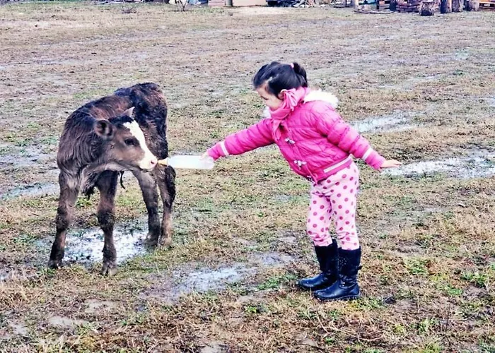 Life On The Farm *