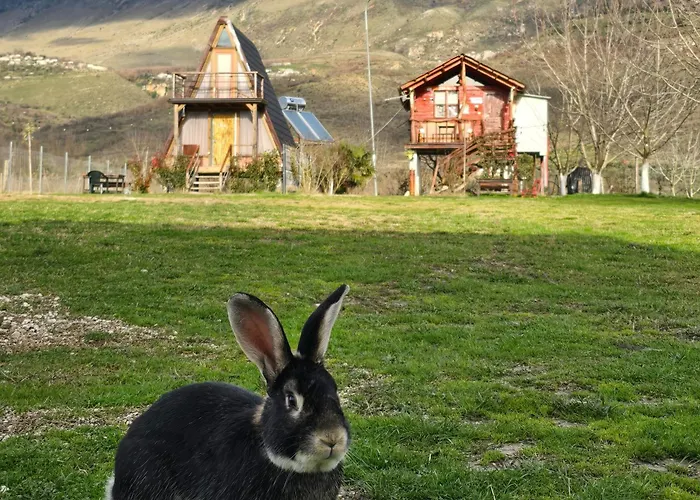 Campsite Life On The Farm *