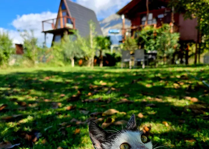 Life On The Farm * Nepravishte